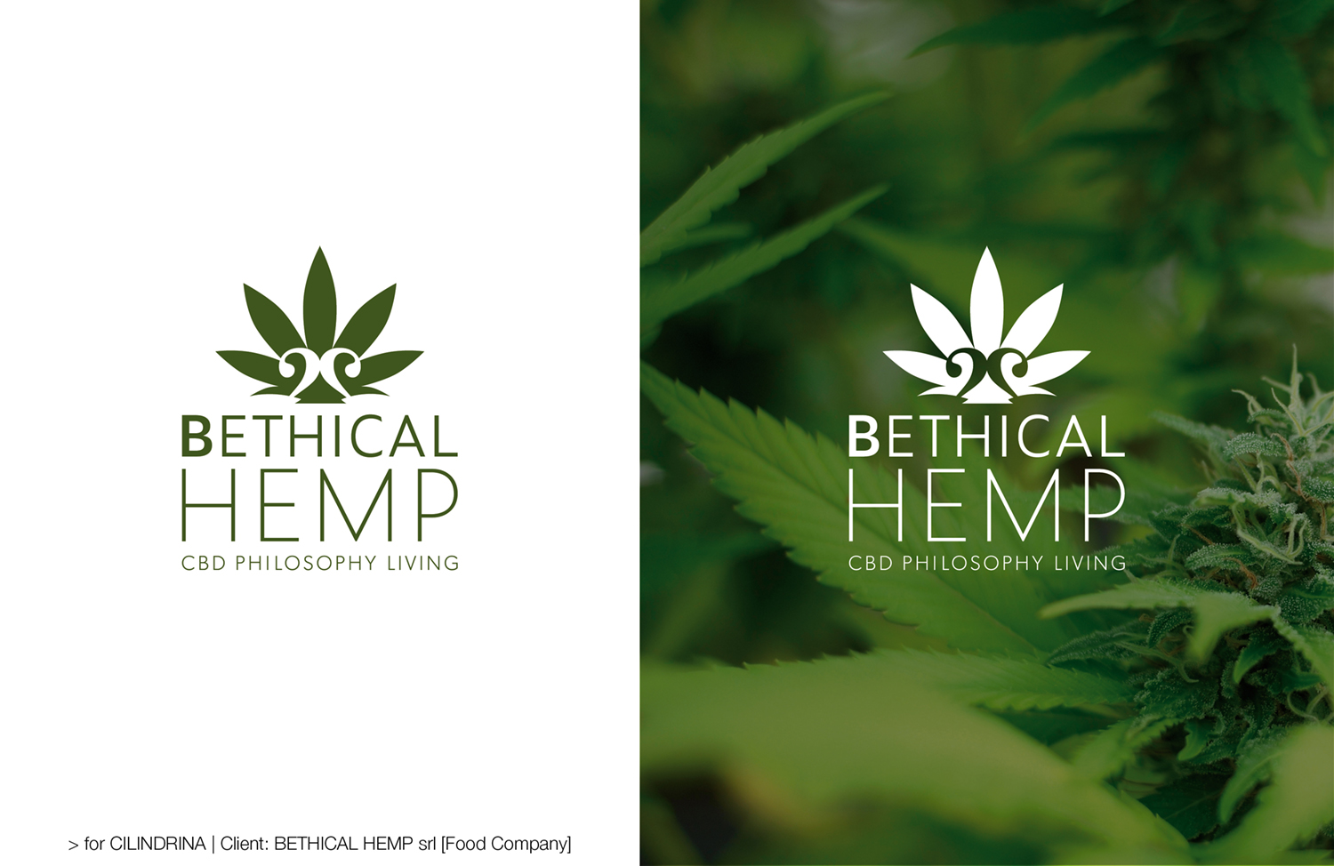 LOGOS_impaginazione_44